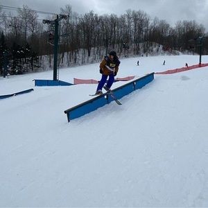 Meet your Posher, Ollie